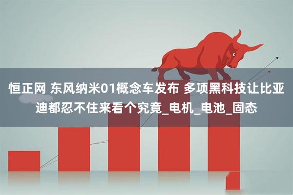 恒正网 东风纳米01概念车发布 多项黑科技让比亚迪都忍不住来看个究竟_电机_电池_固态