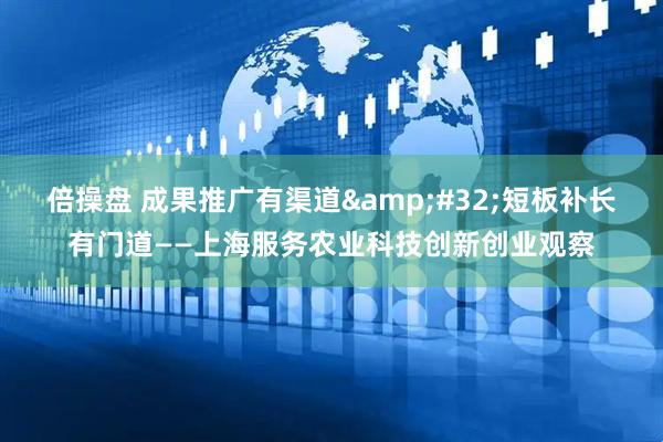 倍操盘 成果推广有渠道&#32;短板补长有门道——上海服务农业科技创新创业观察
