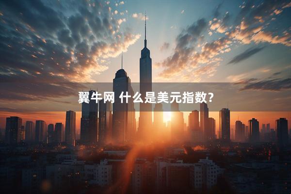 翼牛网 什么是美元指数？