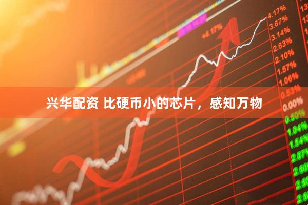 兴华配资 比硬币小的芯片，感知万物