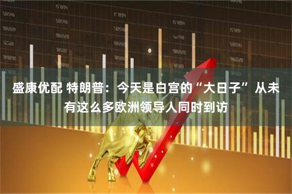 盛康优配 特朗普：今天是白宫的“大日子” 从未有这么多欧洲领导人同时到访