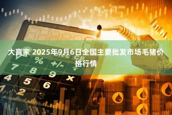 大赢家 2025年9月6日全国主要批发市场毛猪价格行情