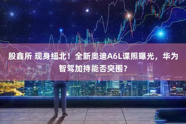 股鑫所 现身纽北!全新奥迪A6L谍照曝光,华为智驾加持能否突围?