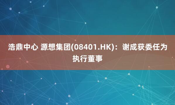 浩鼎中心 源想集团(08401.HK)：谢成获委任为执行董事
