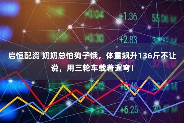 启恒配资 奶奶总怕狗子饿,体重飙升136斤不让说,用三轮车载着遛弯!