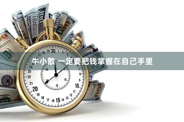 牛小散 一定要把钱掌握在自己手里